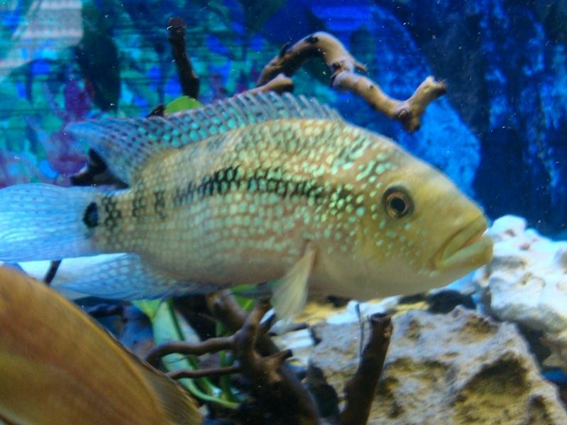 DSC01583