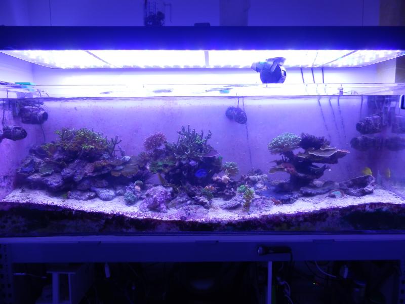 Con plafo a led