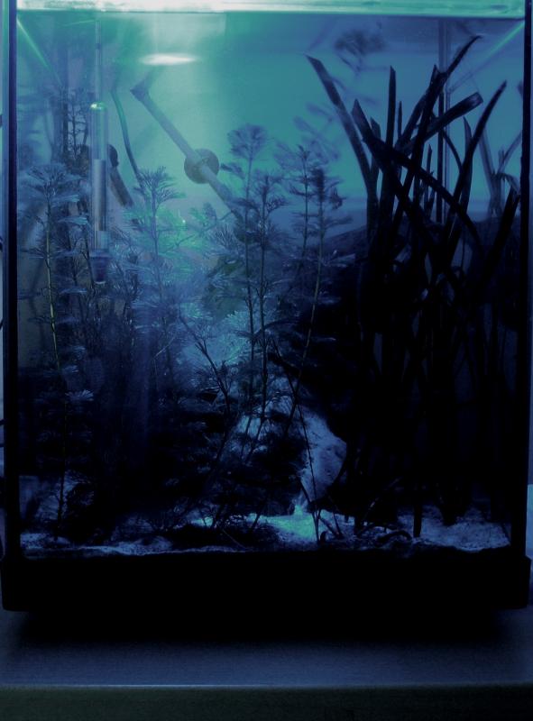 Notturno, slow click
