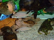 DSCF0986