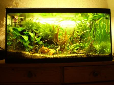 ACQUARIO
