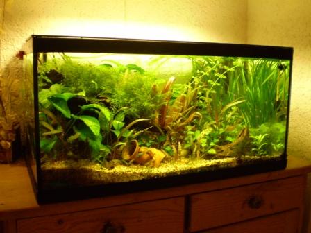 ACQUARIO.2