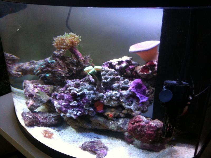 foto1