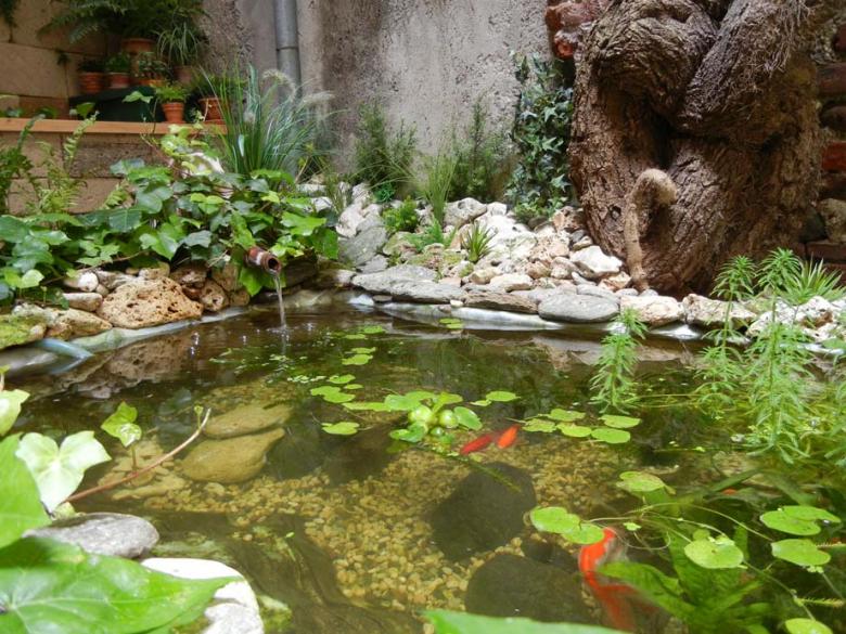 Dalla canna di bamboo rientra l'acqua, dopo aver fatto il giro dei 2 filtri. Quello meccanico interrato e quello biologico elevato.