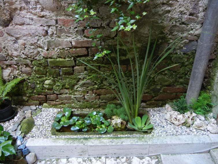 Il regno delle rane.