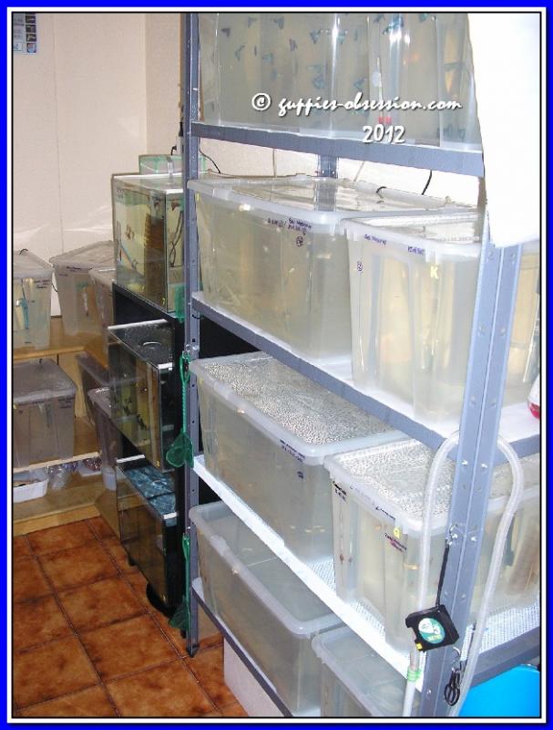 Fish Room.