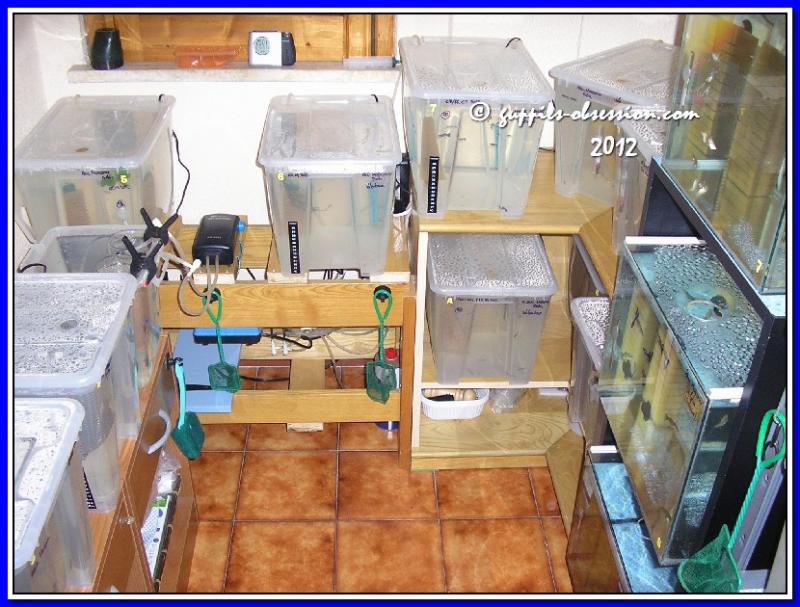 Fish Room.