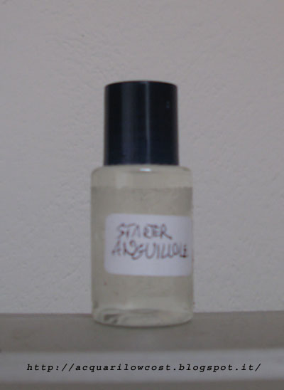 starter anguillole