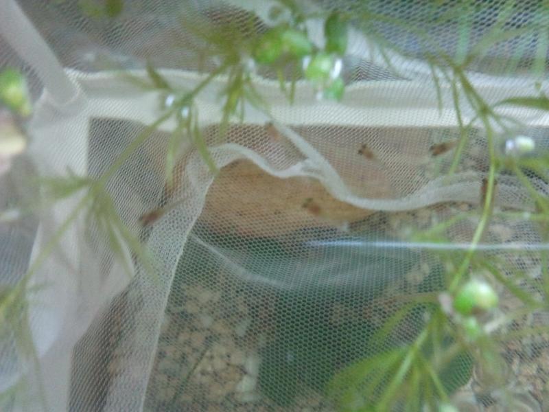 2012 07 11 15.43.51