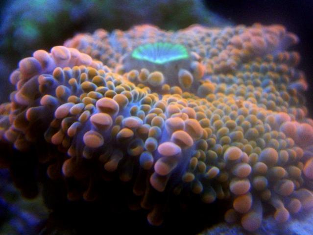 IMGP0025