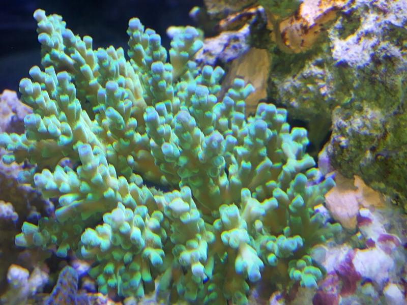 20150103 175503 resized