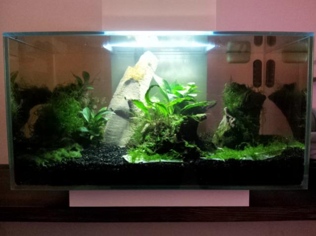 Vista Frontale