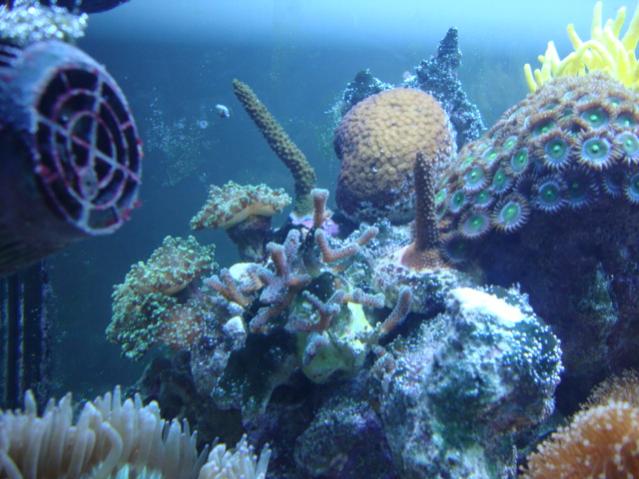 DSC01627