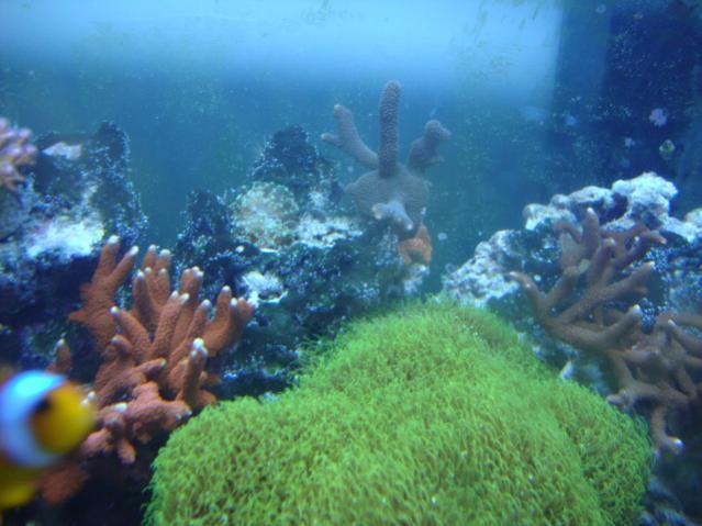 DSC01638