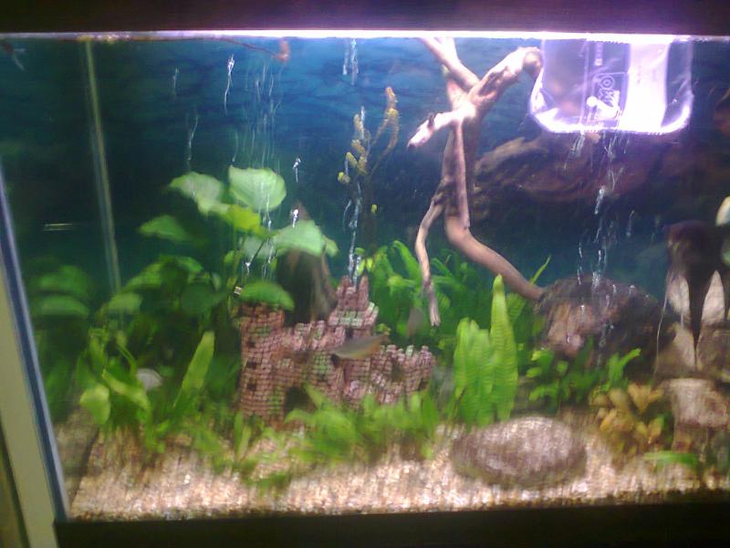 Foto0299