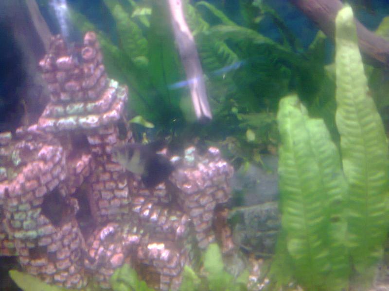 Foto0301