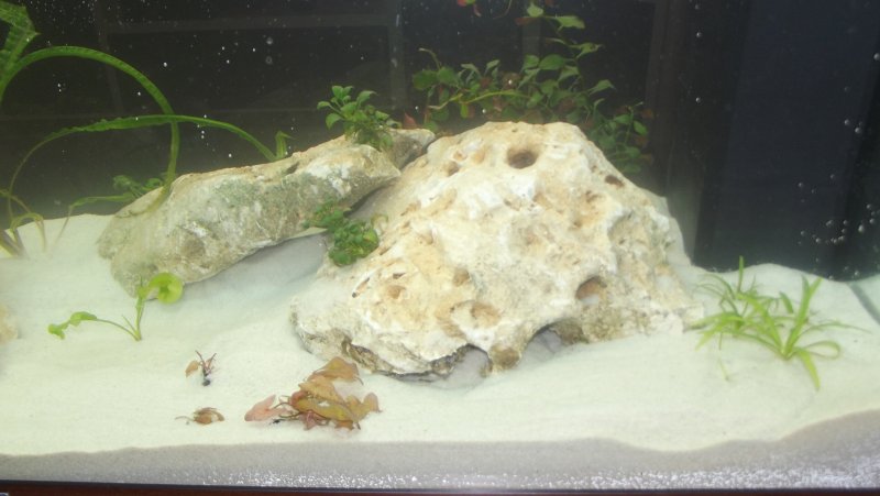 Le rocce inserite sulla destra