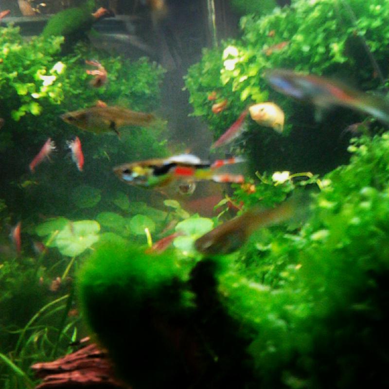 IMG 20120907 215812