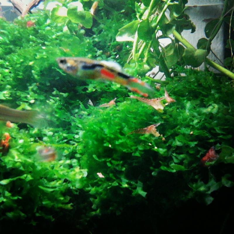 IMG 20120912 185235