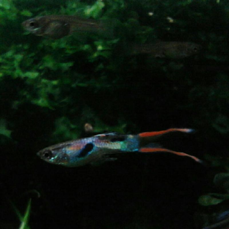 IMG 20120916 224444