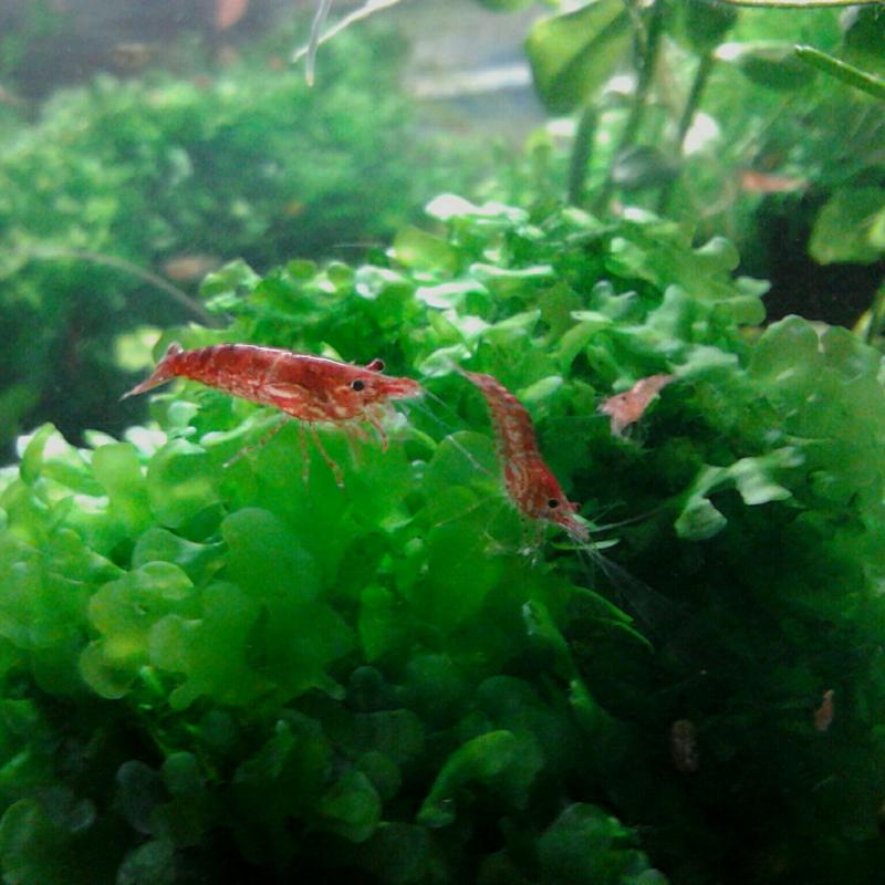 IMG 20120916 225557