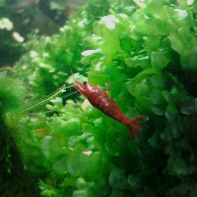 IMG 20120916 225434