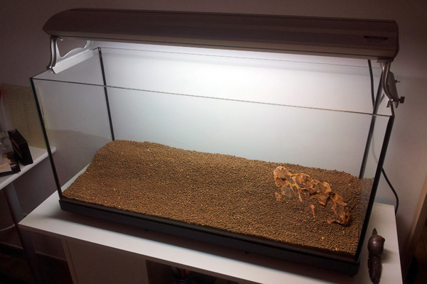 Inserimento del fondo Ada Aqua Soil Malaya 12 lt, creando uno spessore di 5 cm nella zona anteriore e 9 cm nella zona posteriore.