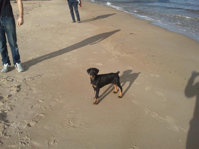 Foto0259 (Small)
