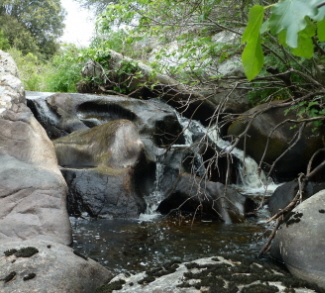 Cascate e conchette