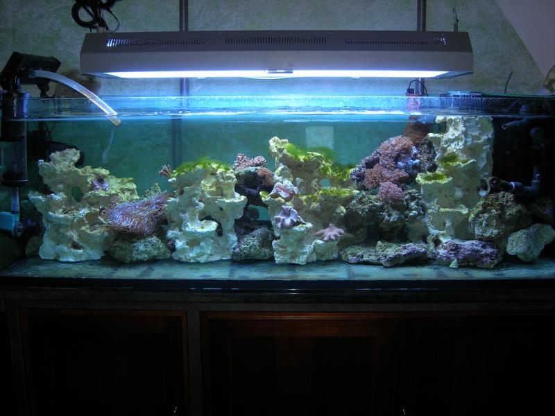 DSCN1135