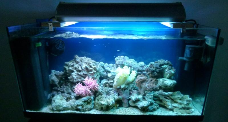 1dec2012 foto 1