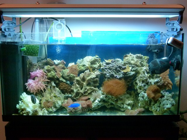 P1110302 (Copia)