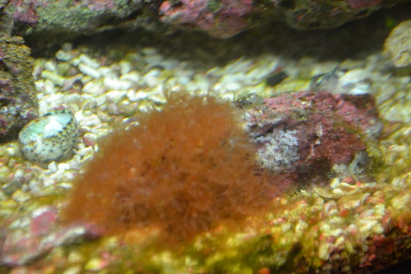 DSC 0746