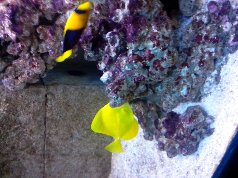 IMG 20121128 185952[1]