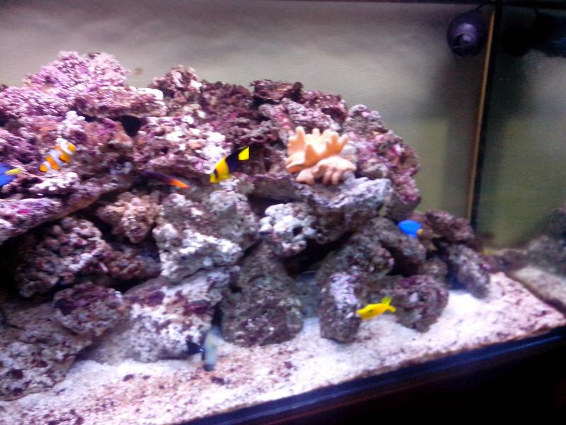 IMG 20121128 185908[1]
