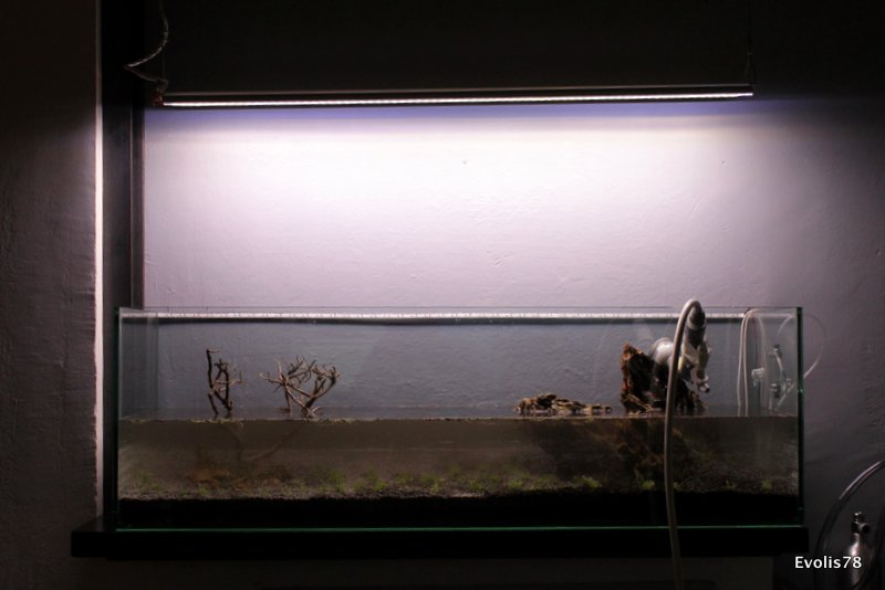 01 IMG 9460