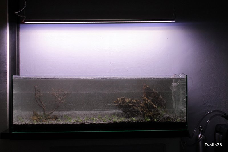 02 IMG 9461