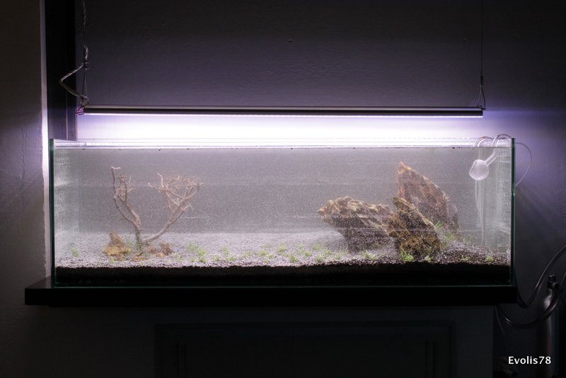 03 IMG 9462