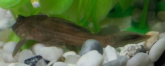 20120428 181727 001