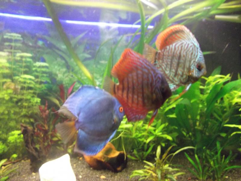 DSCF1521
