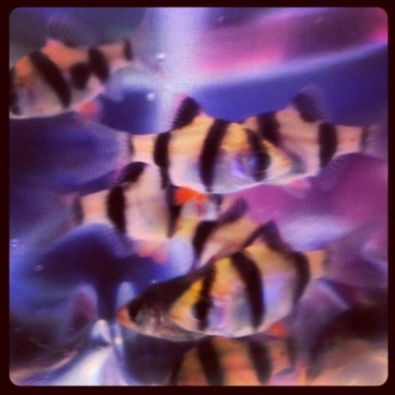 image 1358537279147527
