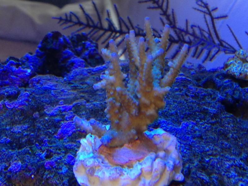 IMG 0707 []