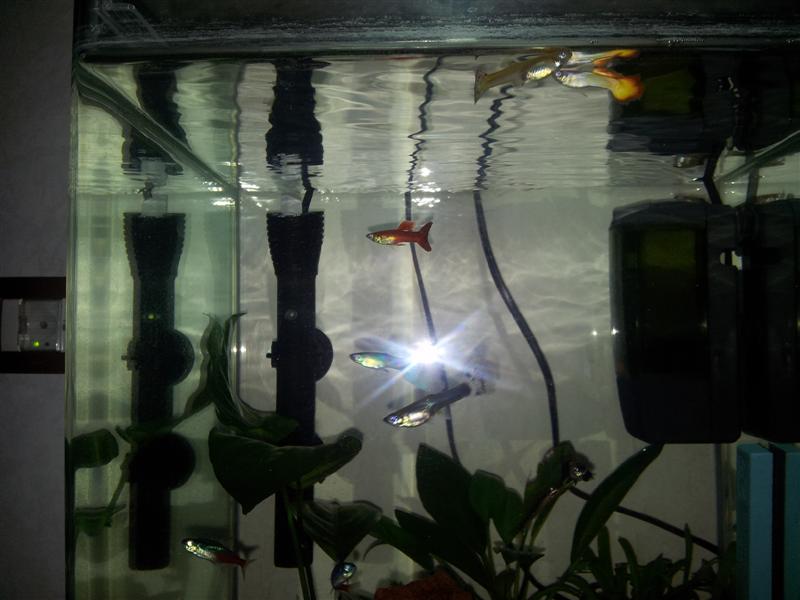 20130127 094739 (Medium)
