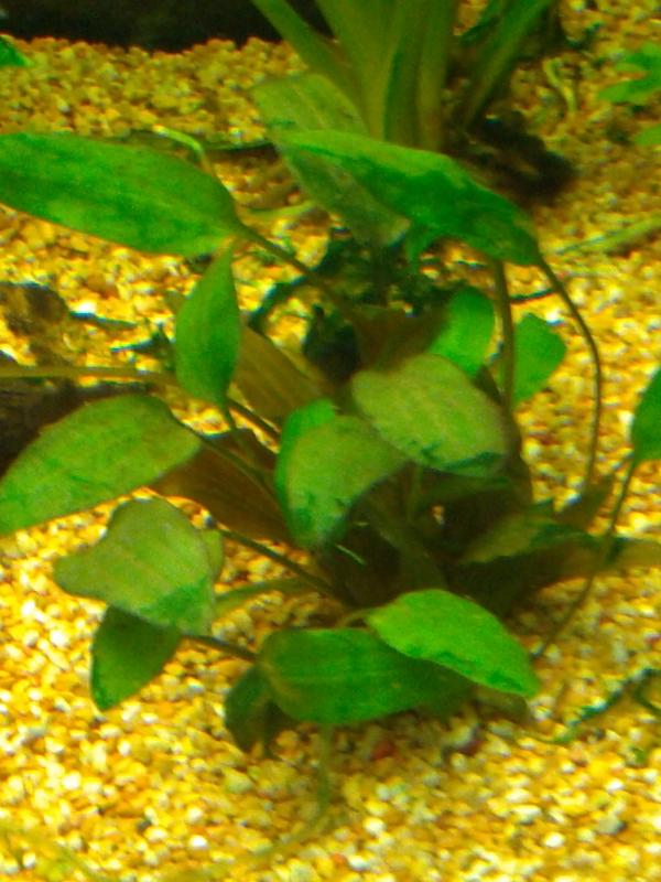 IMG 20130920 184325