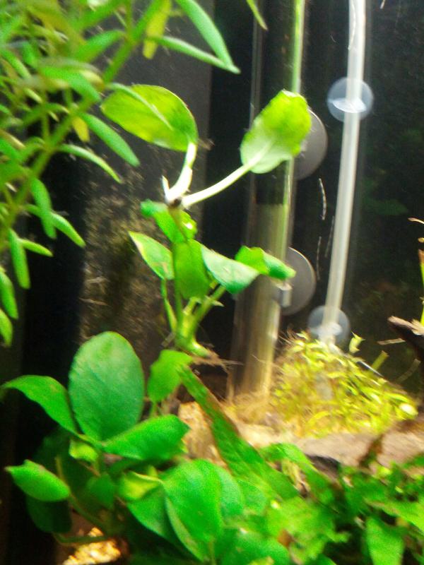 IMG 20130928 192620