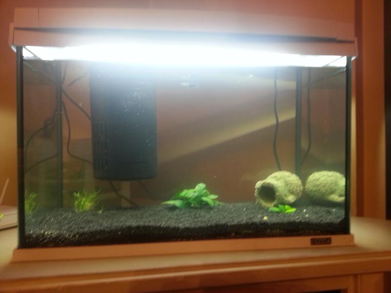 Tetra aqua art 60 lt