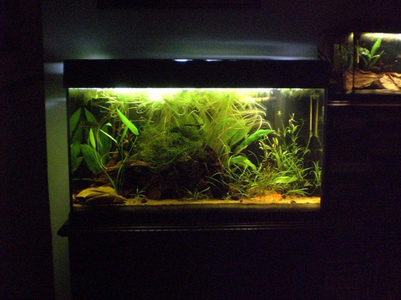 vista2