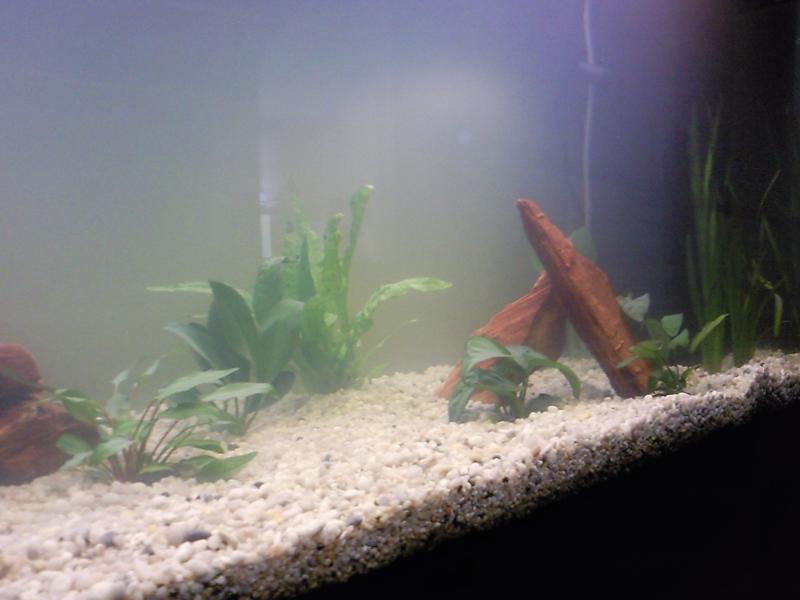 Foto0169