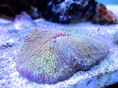 DSCF1456