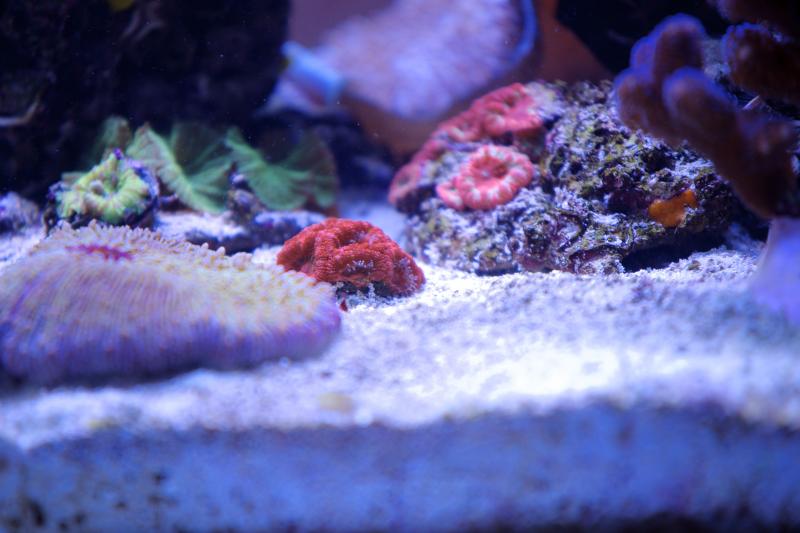 DSC05083